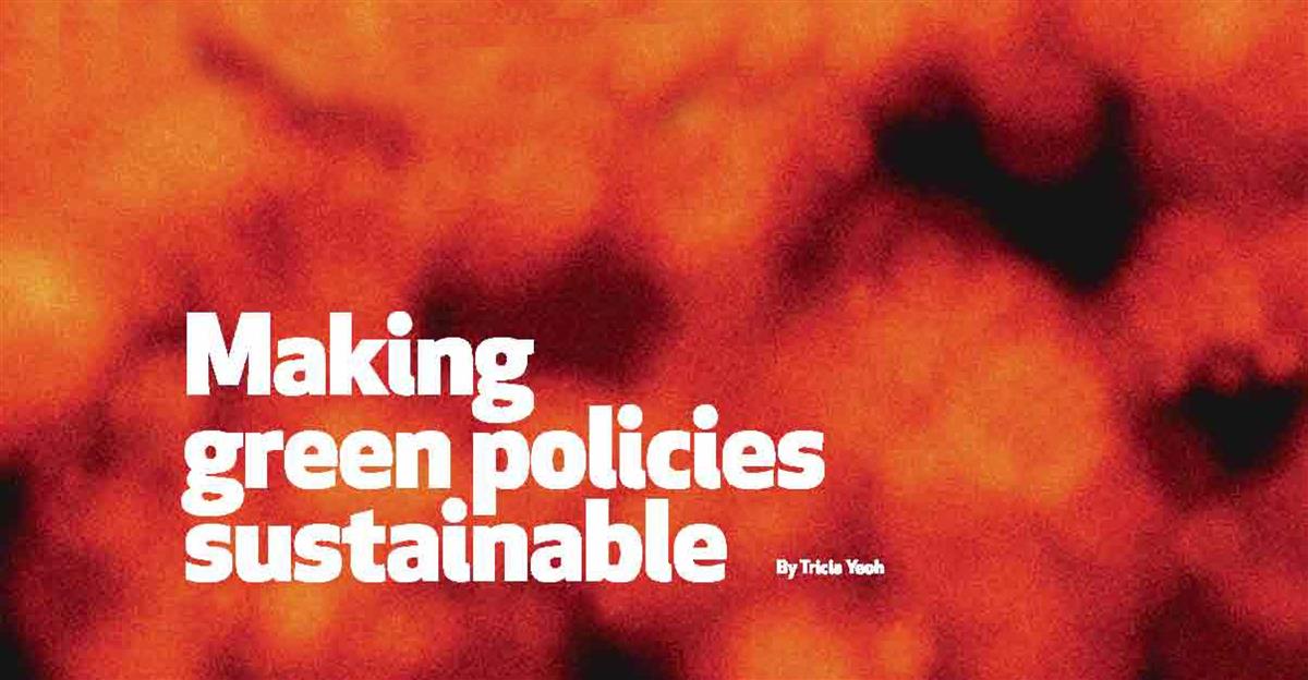 Making green policies sustainable