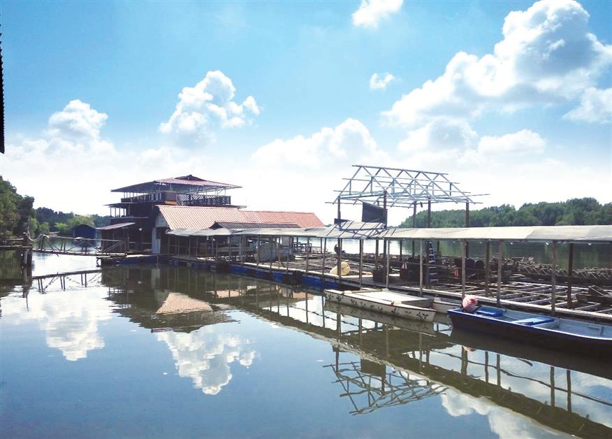 A Bright Future Awaits Oyster Farming in Penang