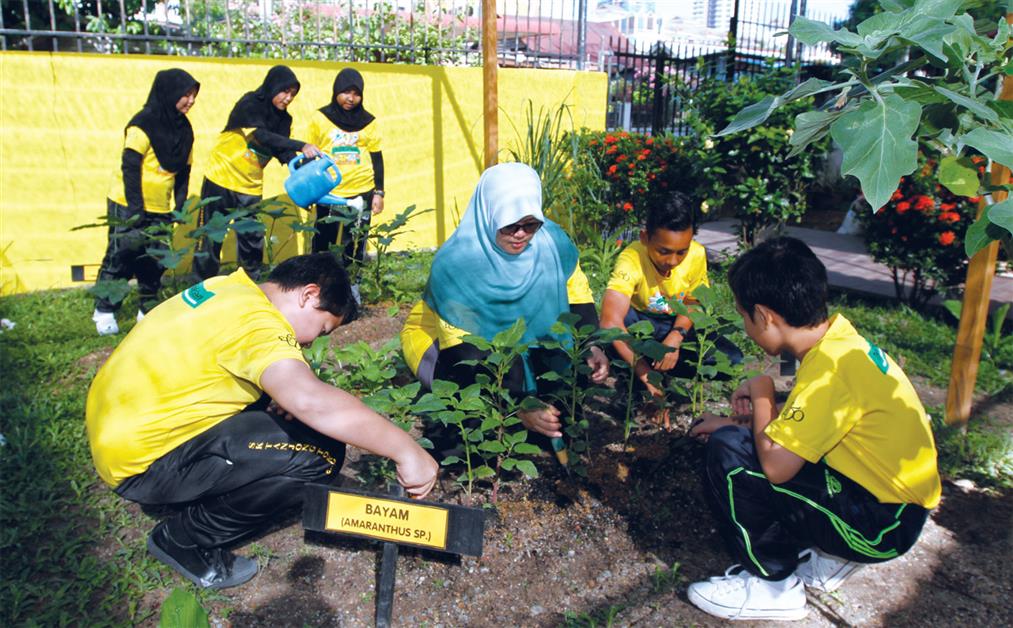 Planting Our Green Future