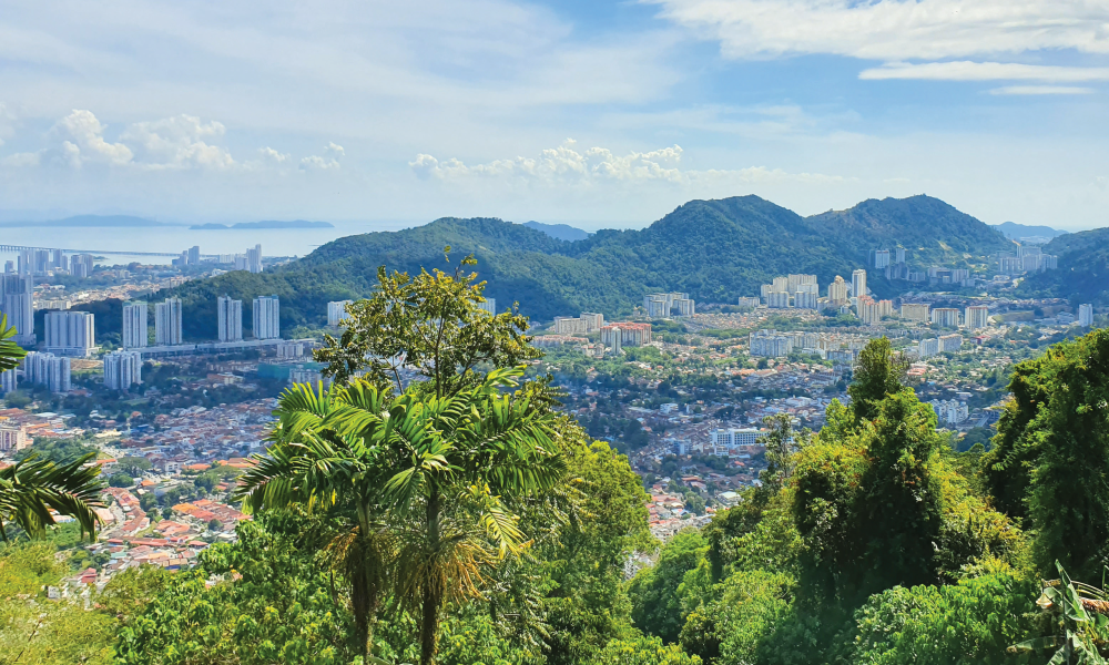 Surveying the Lower Slopes of Penang Hill